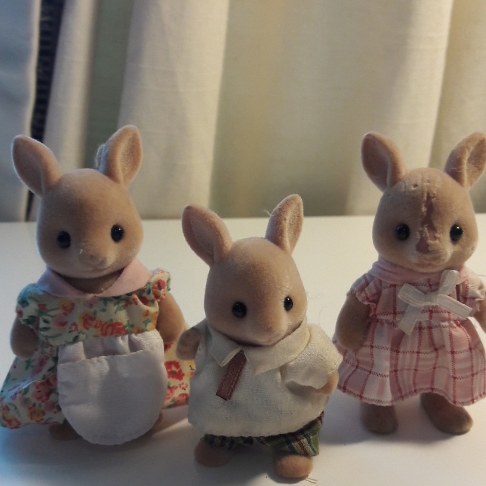 kangaroo pets